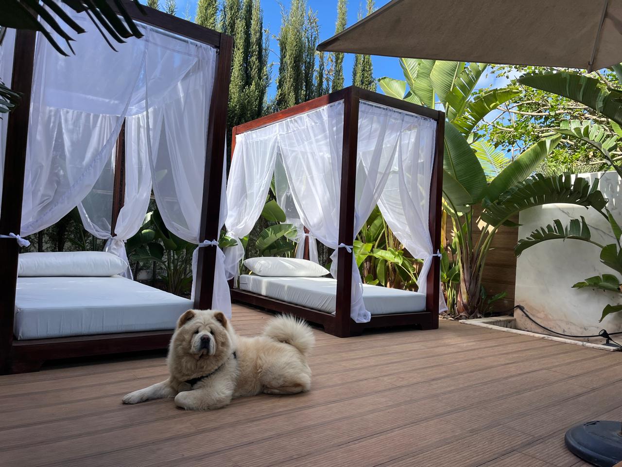 Immobilier de Luxe Dar Bouazza - AJOUAMAI IMMO-BUSINESS